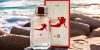 عطر Every Day S….y نسائي 100 مل
