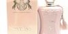عطر Darlene النسائي 100 مل