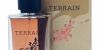 عطر TERRAIN TERRASSE للجنسين 50 مل